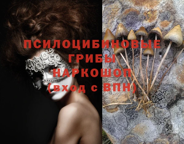 МДМА Алексеевка