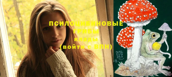 сатива Алзамай