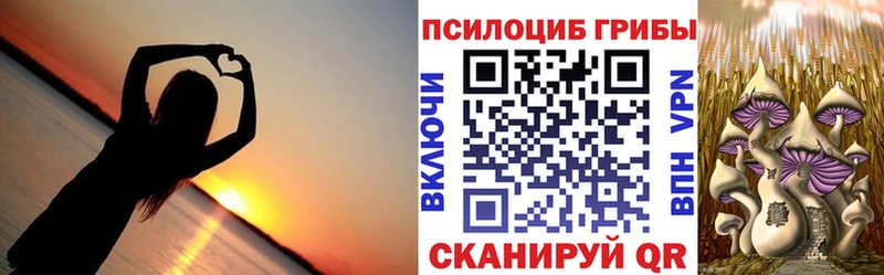 darknet телеграм  дарнет шоп  Кириши  Галлюциногенные грибы прущие грибы 
